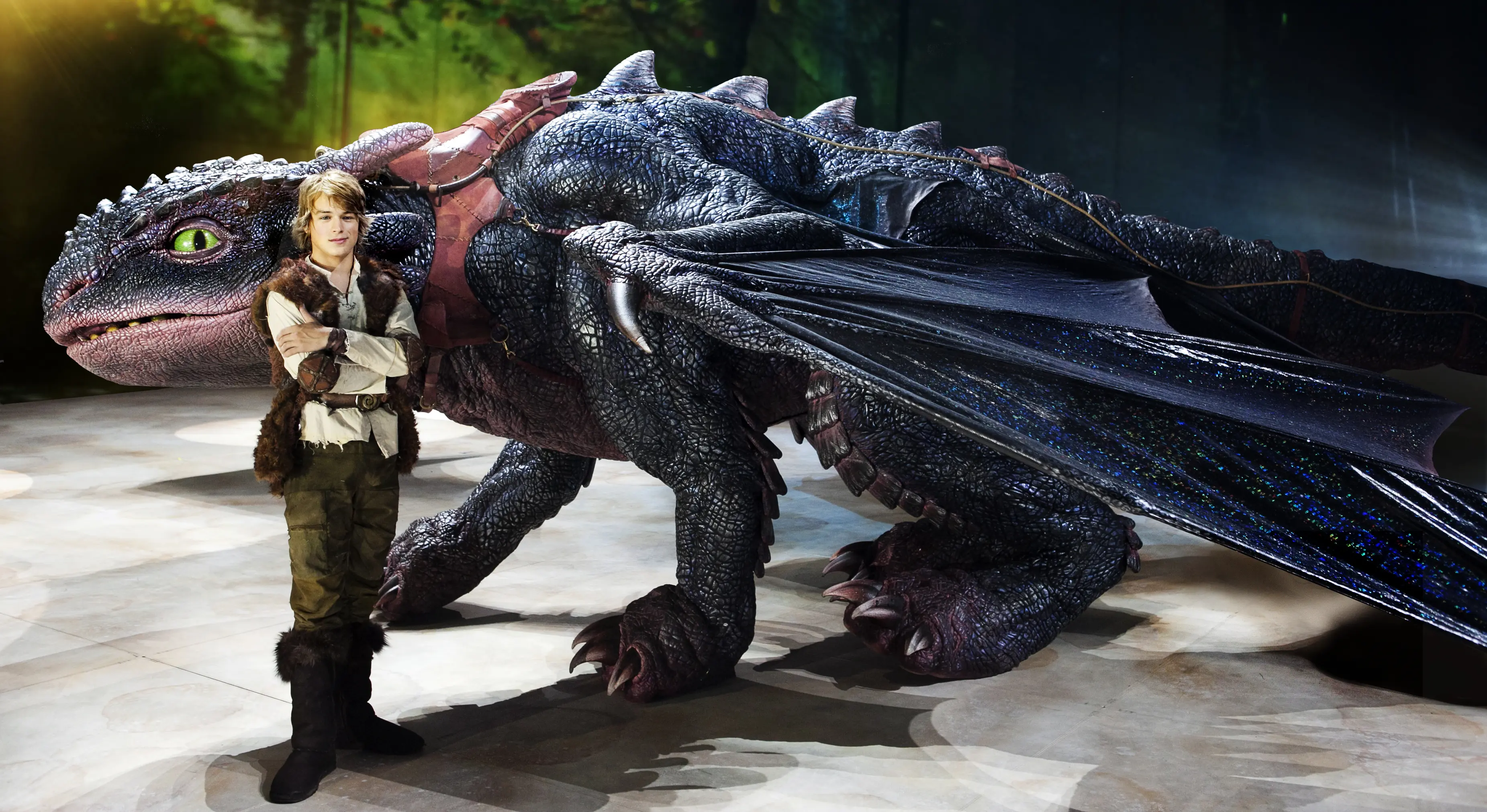 Hiccup standing infront of Toothless