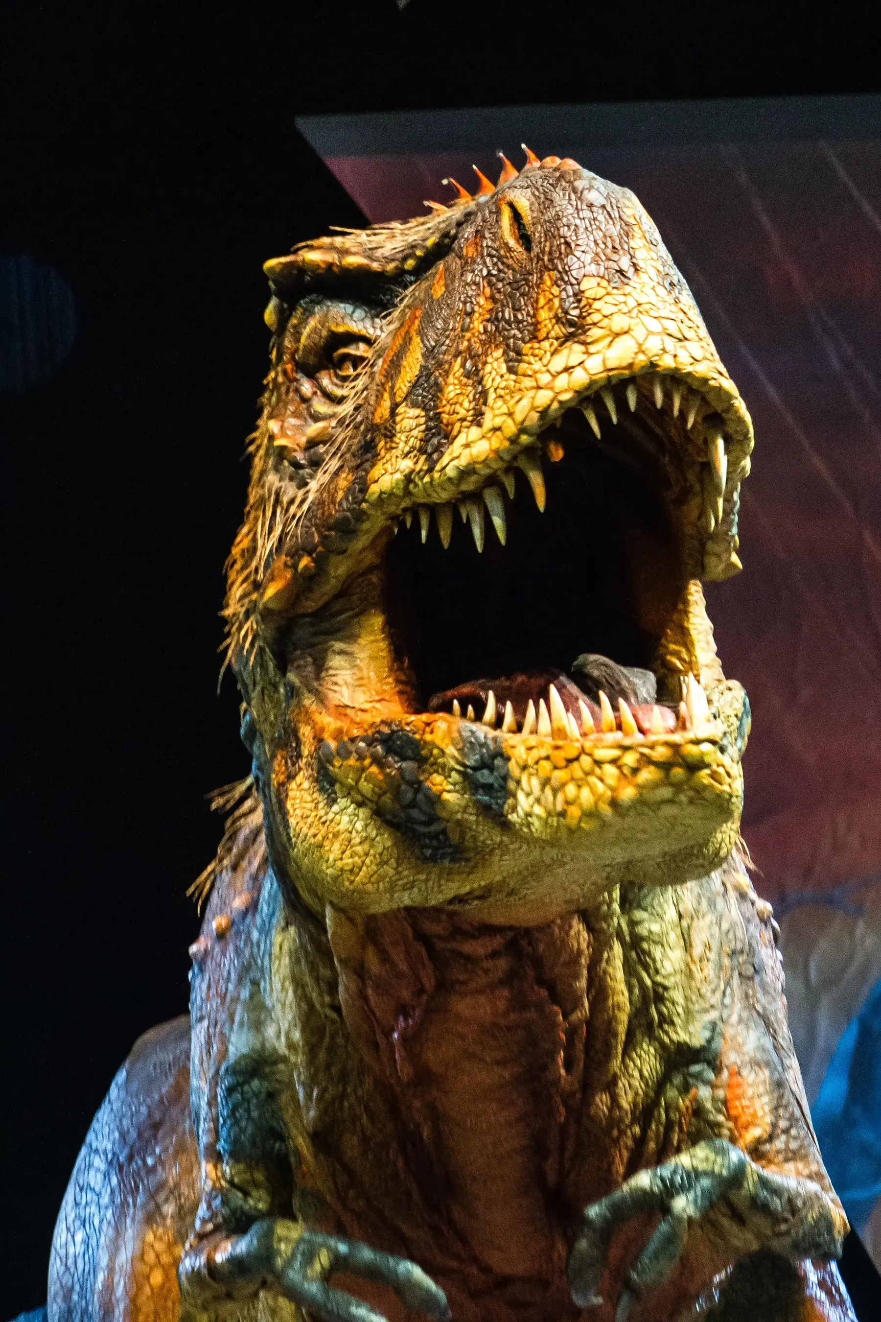 Close up of T-rex roaring in Walking with Dinosaurs live arena show