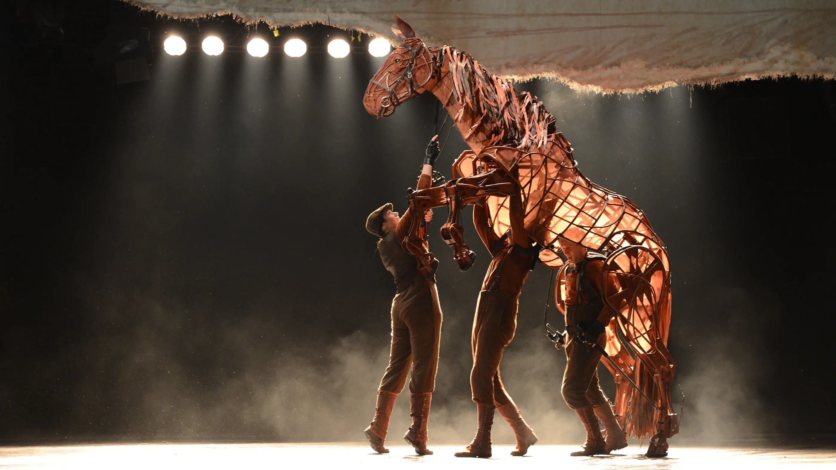 A horse puppet rearing as three people control it from underneath in the War Horse play in Australia.